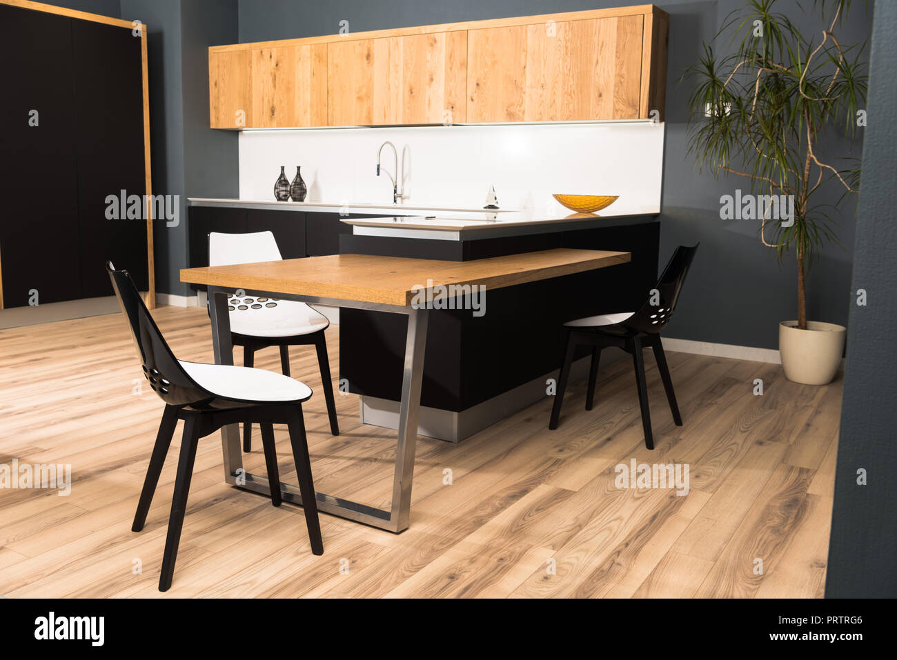 Innenraum der moderne saubere helle Küche mit komfortablen Möbeln und Topfpflanze Stockfoto