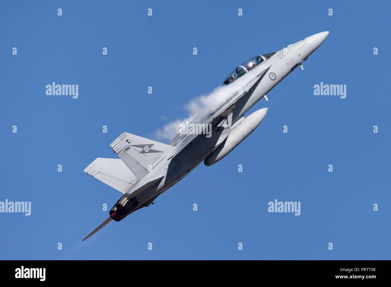 Royal Australian Air Force (RAAF) Boeing F/A-18F Super Hornet multirole Fighter Aircraft ein 44-222 bei RAAF Amberley in Queensland. Stockfoto