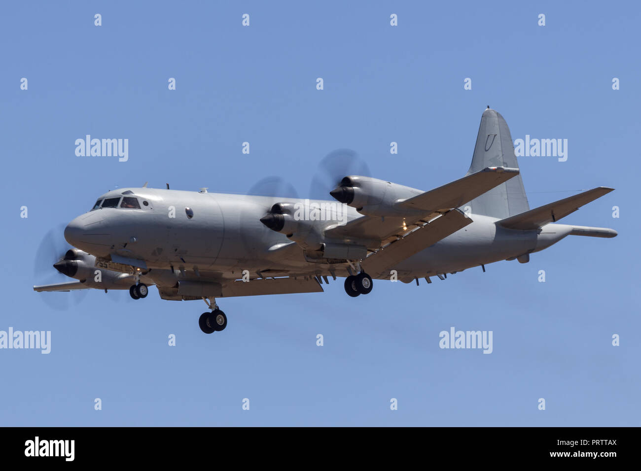 Royal Australian Air Force (RAAF) Lockheed AP-3C Orion Maritime Patrol und Anti-U-Boot Kriegsführung Flugzeuge. Stockfoto