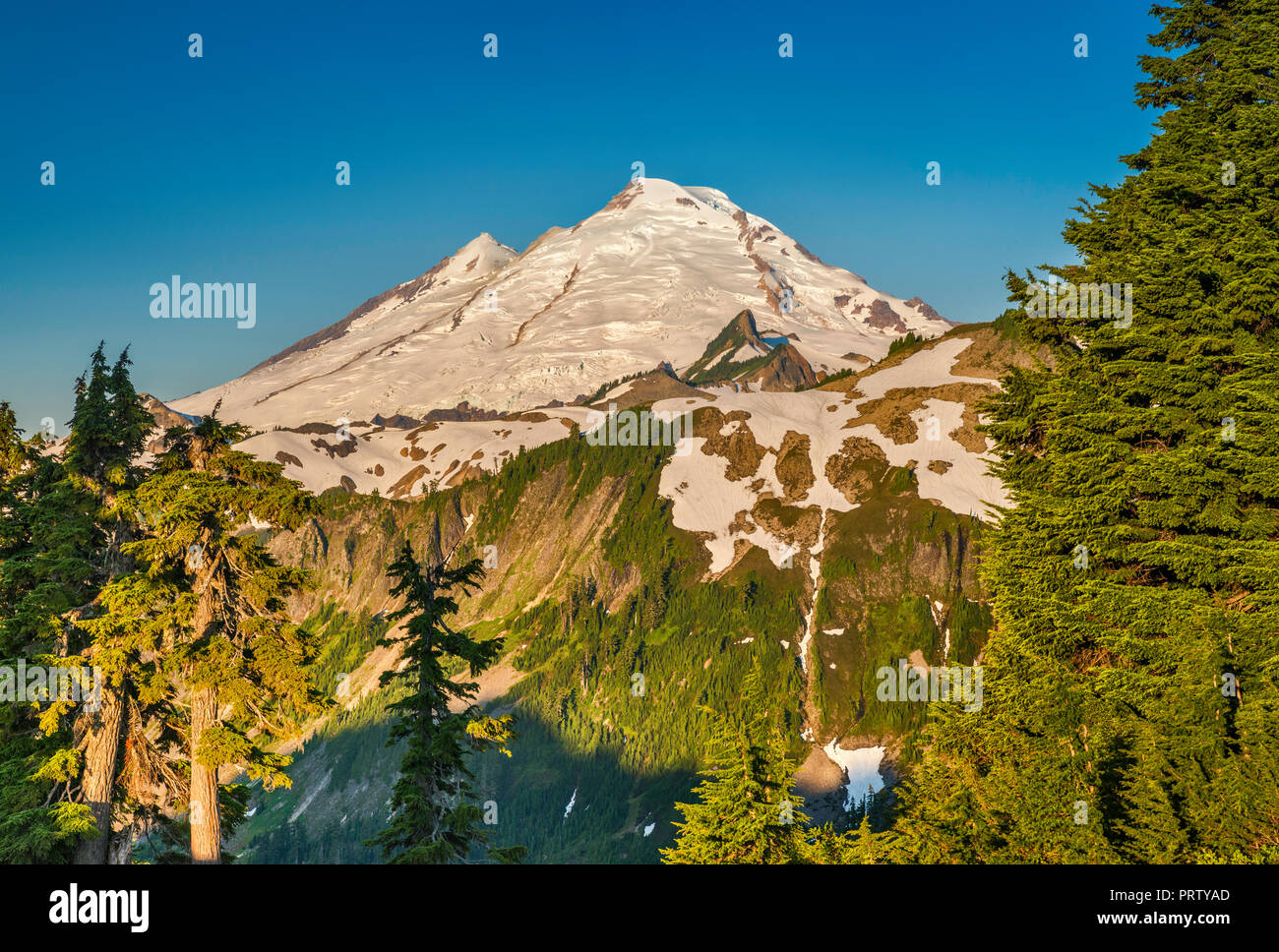 Mount Baker, Blick vom Artist Point, Mount Baker Wilderness, North Cascades, Washington State, USA Stockfoto