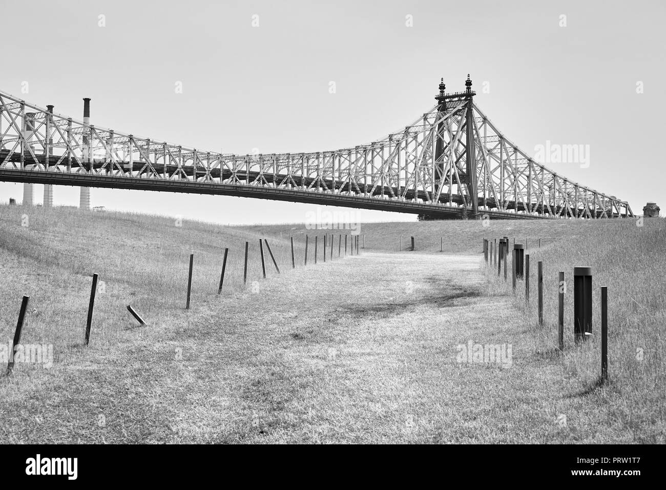 Die Queensboro Bridge von Roosevelt Island, New York City, USA gesehen. Stockfoto
