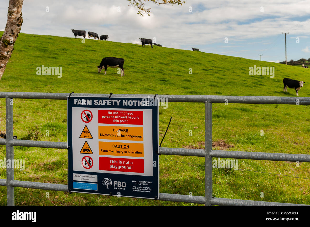 Bauernhof Sicherheitshinweis auf ein Tor zu einem Feld mit Kühen an einem sonnigen Tag in Ballydehob, West Cork, Irland. Stockfoto