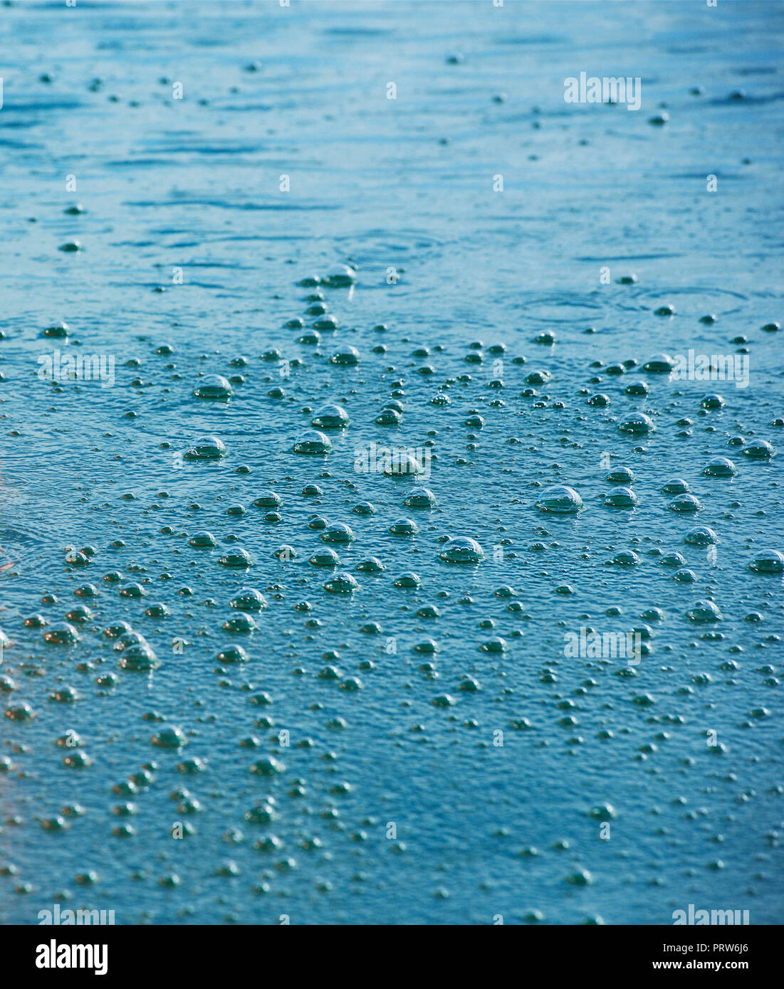 Wasser und Regen tropfen Hintergrund, abstrakt, Tropfen Regen. Herbstliche Stimmung. Herbst Hintergrund. Es regnet Stockfoto