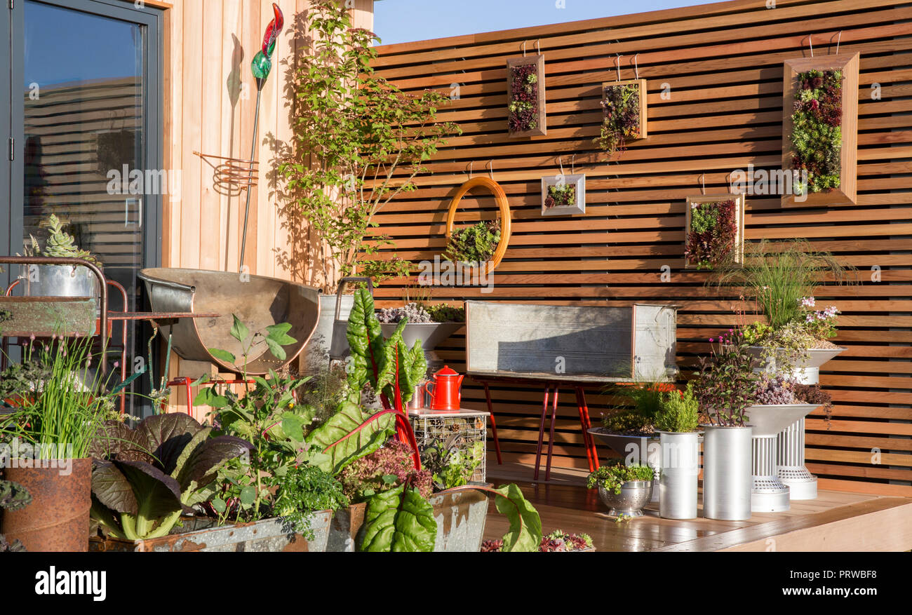Kleiner Balkon Terrasse Gemüsegarten mit Gemüsekräutern, die in wiederverwendeten, ungewöhnlichen Behältern wachsen, Sempervivum Pflanzen vertikale Gartenanlagen in Großbritannien Stockfoto