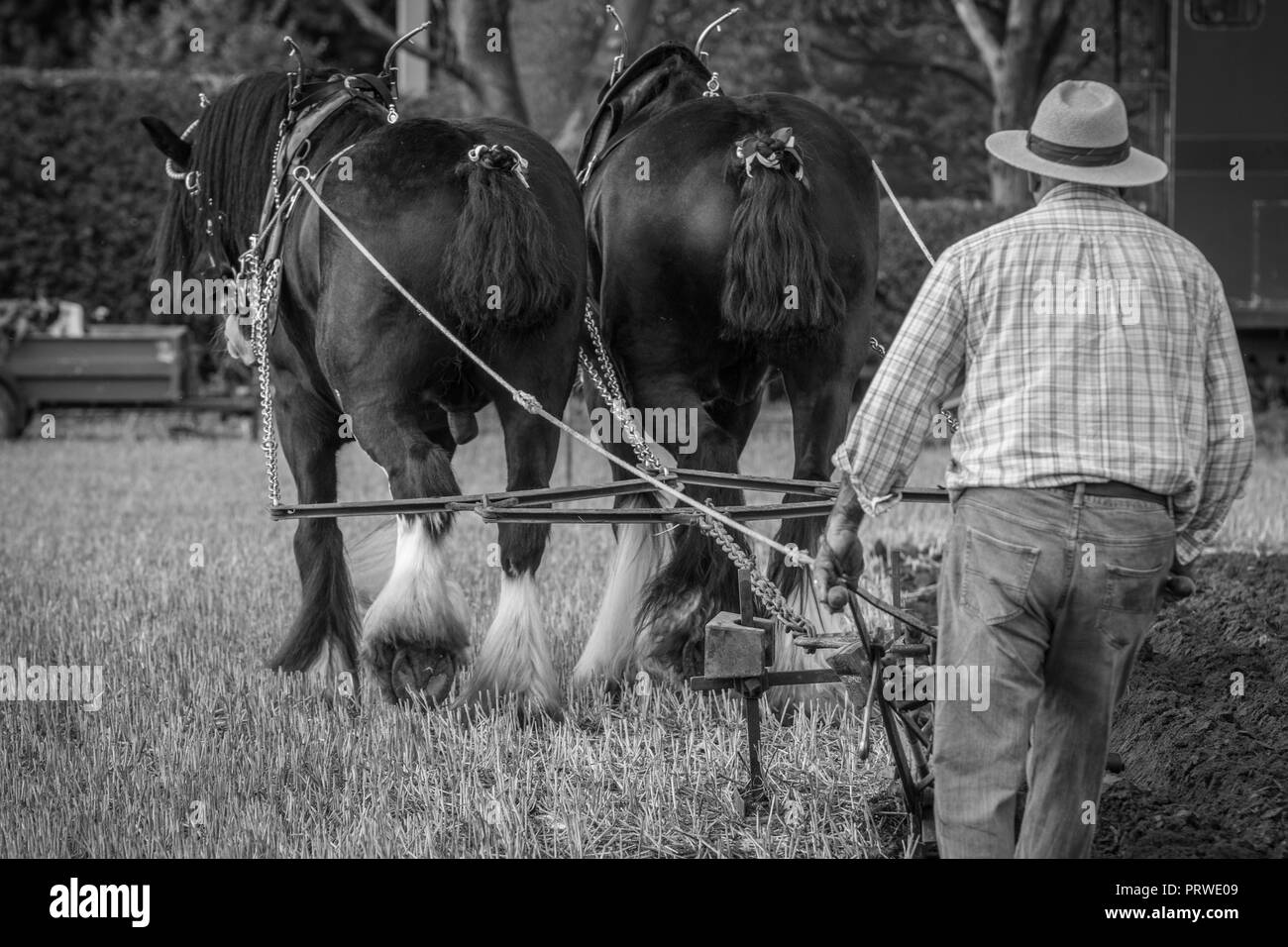 Cheshire Pferd Pflügen Match 2018 Stockfoto