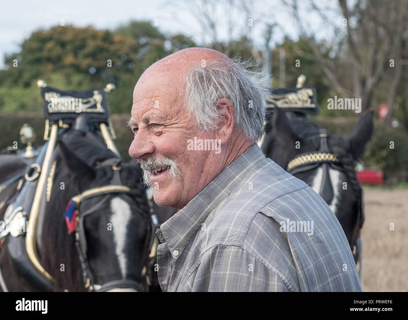 Cheshire Pferd Pflügen Match 2018 Stockfoto