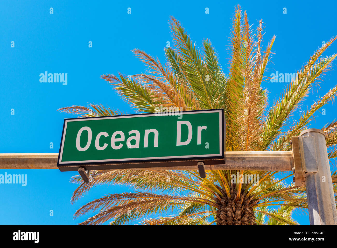 Ocean Drive Road Sign in Miami Beach, Florida Stockfoto