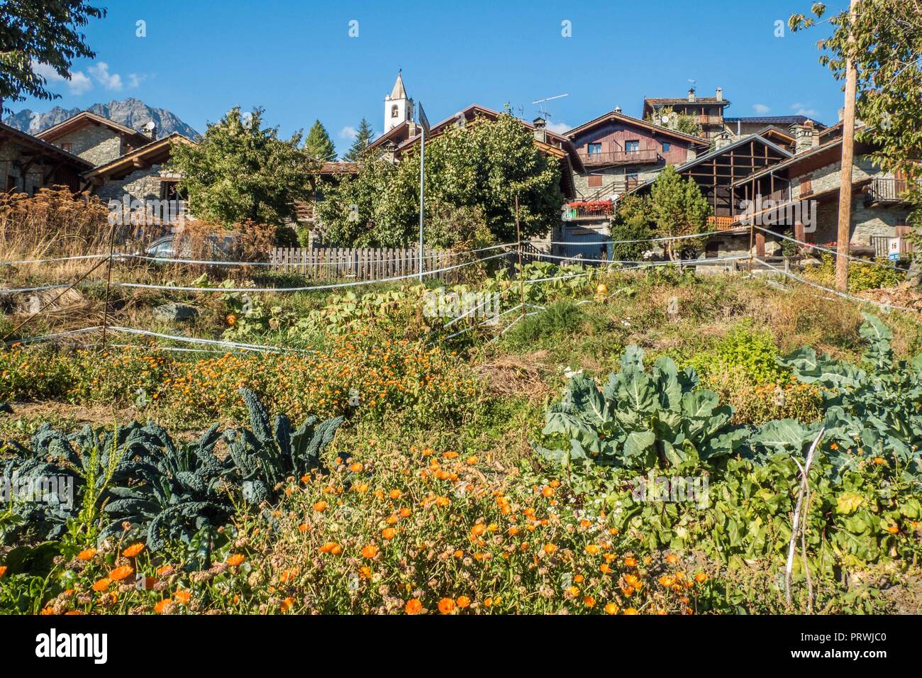 Gemüsegarten im Lignan, Aostatal, NW Italien Stockfoto