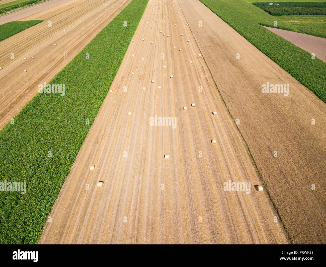 Luftaufnahme von runde Heuballen auf Stoppeln unter blauen bewölkten Himmel, sinkende Perspektive Stockfoto
