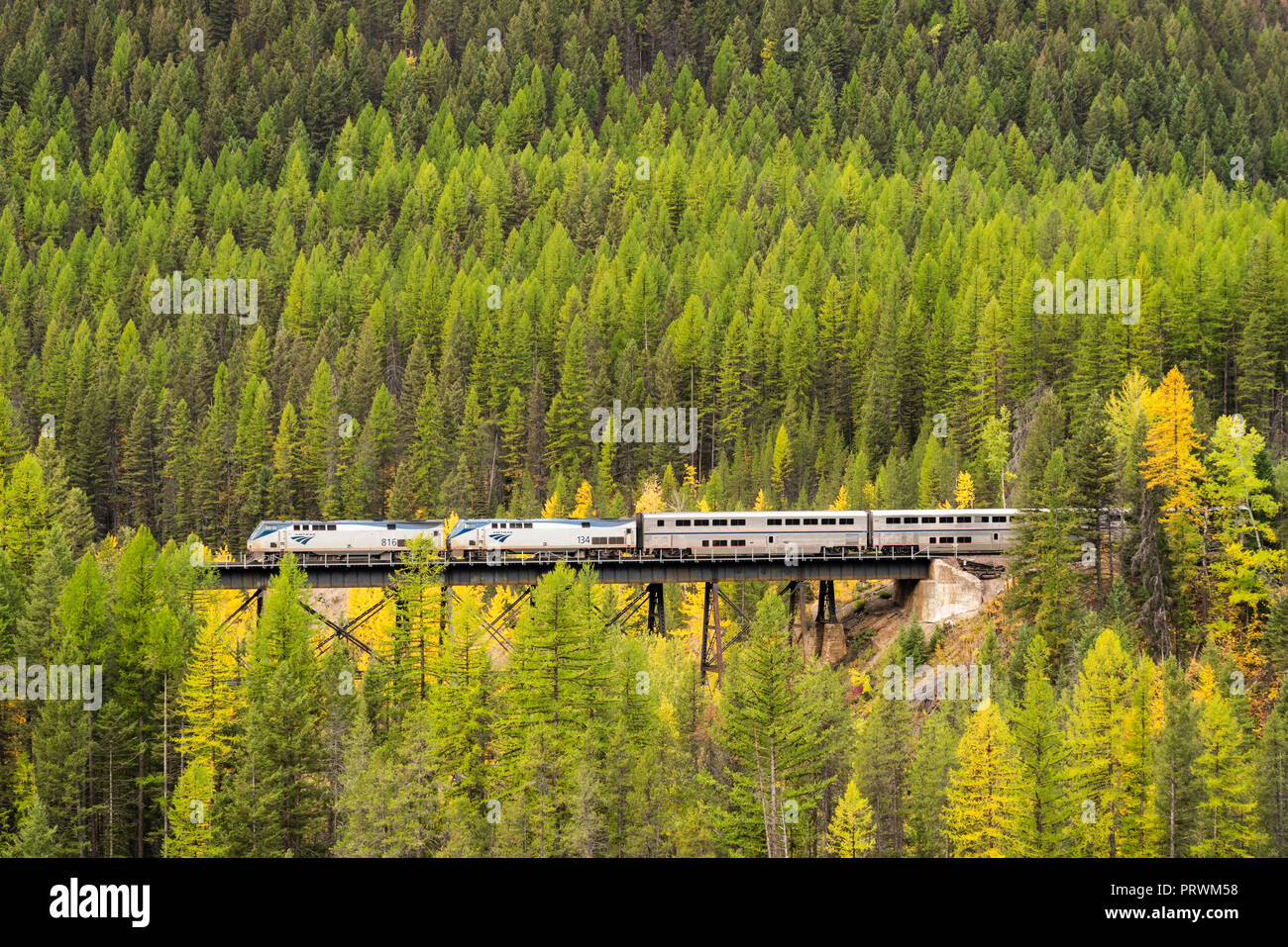 Der Amtrak Empire Builder Bahnübergang die Ziege lecken Trestle über Schafe Creek in der Nähe von Essex, Montana. Stockfoto