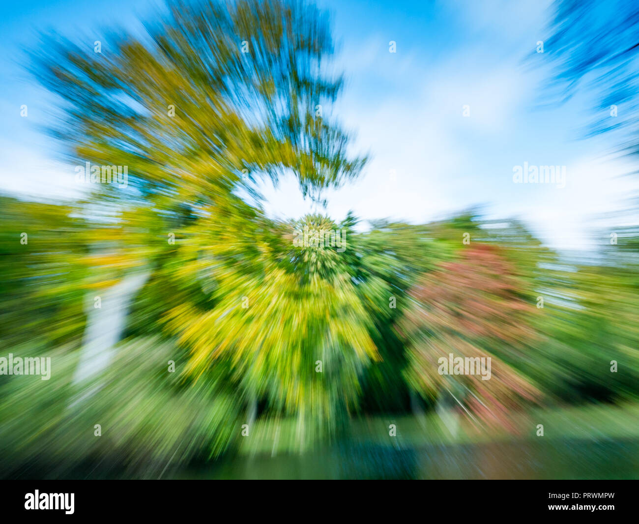 Gosford Estate, East Lothian, Schottland, Großbritannien, 4. Oktober 2018. UK Wetter: Herbstfarben in den reifen Bäumen des Landguts sind von Sonnenschein beleuchtet. Eine gezoomte fotografische Technik abstrakt von Herbstfarben in Bäumen Stockfoto