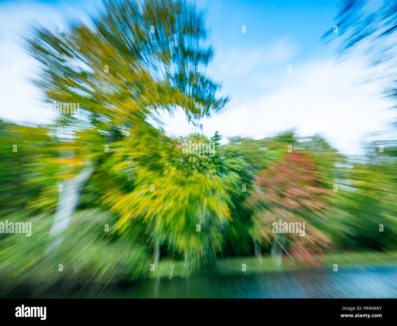 Gosford Estate, East Lothian, Schottland, Großbritannien, 4. Oktober 2018. UK Wetter: Herbstfarben in den reifen Bäumen des Landguts sind von Sonnenschein beleuchtet. Eine gezoomte fotografische Technik abstrakt von Herbstfarben in Bäumen Stockfoto
