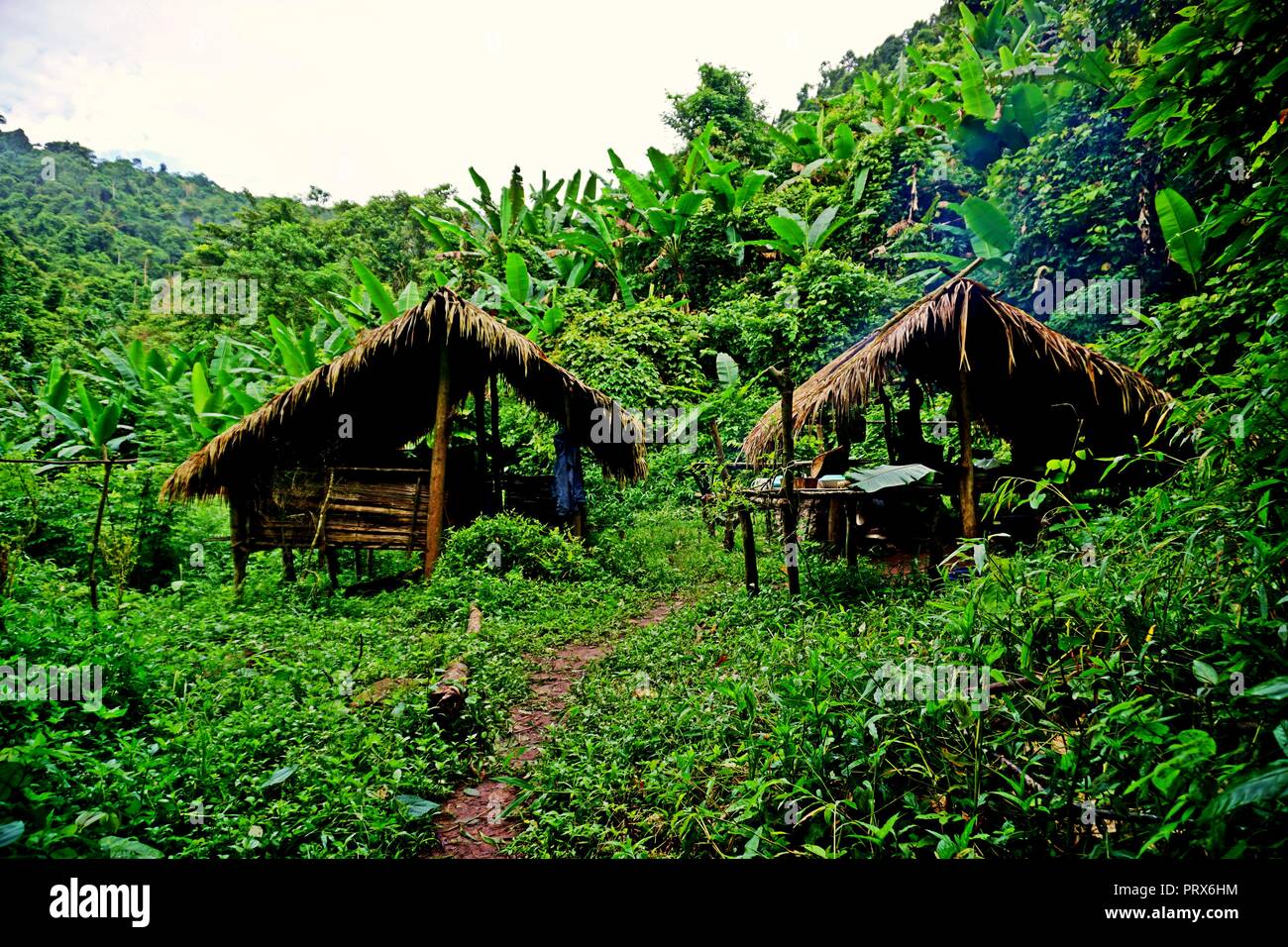 Traditionelle Hütte, Campingplatz in üppigen tropischen Wald, Nam Ha Nationalen Schutzgebiet, Laos Stockfoto