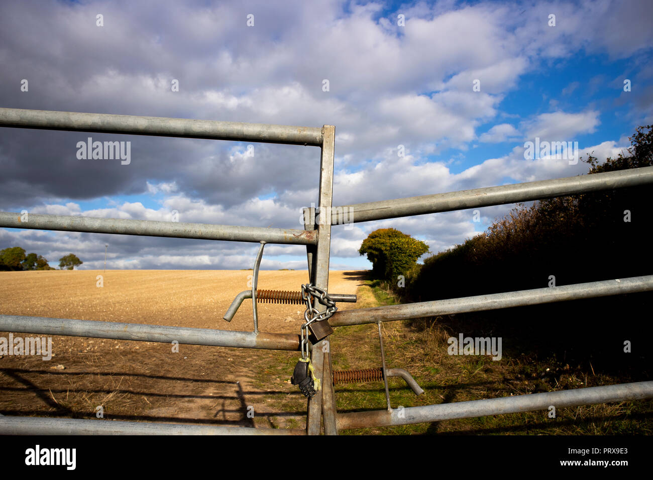 Gesperrt Metallrahmen Bauernhof Feld in ländlichen Hampshire zu Ackerland Stockfoto