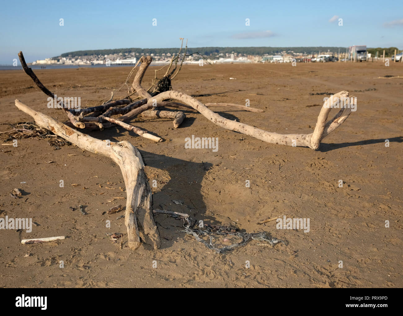 Oktober 2018 - Drift Wood am Strand von Weston Super Mare, in North Somerset. Stockfoto