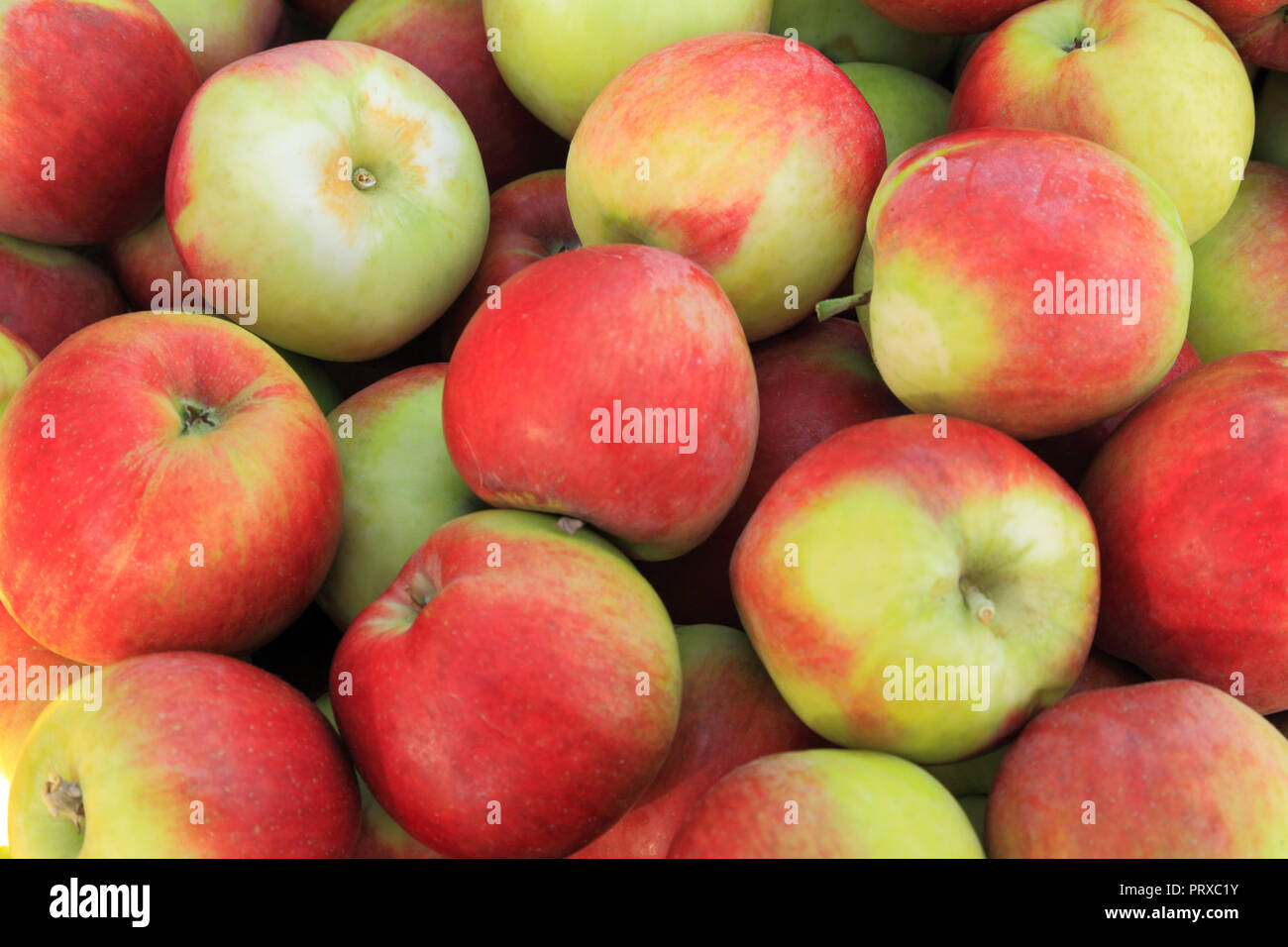Apple 'Voyager', Äpfel, Malus Domestica, Hofladen, Display, Obst, essbare Stockfoto