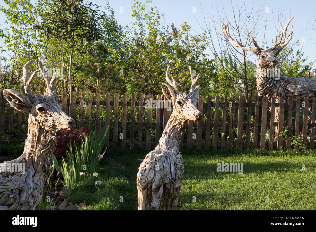 Driftwood Rotwild Skulpturen von James Doran-Webb, alte hölzerne Lattenzaun, Rasen, aus über den Zaun, garten, RHS Malvern Spring Festival 2018 Stockfoto