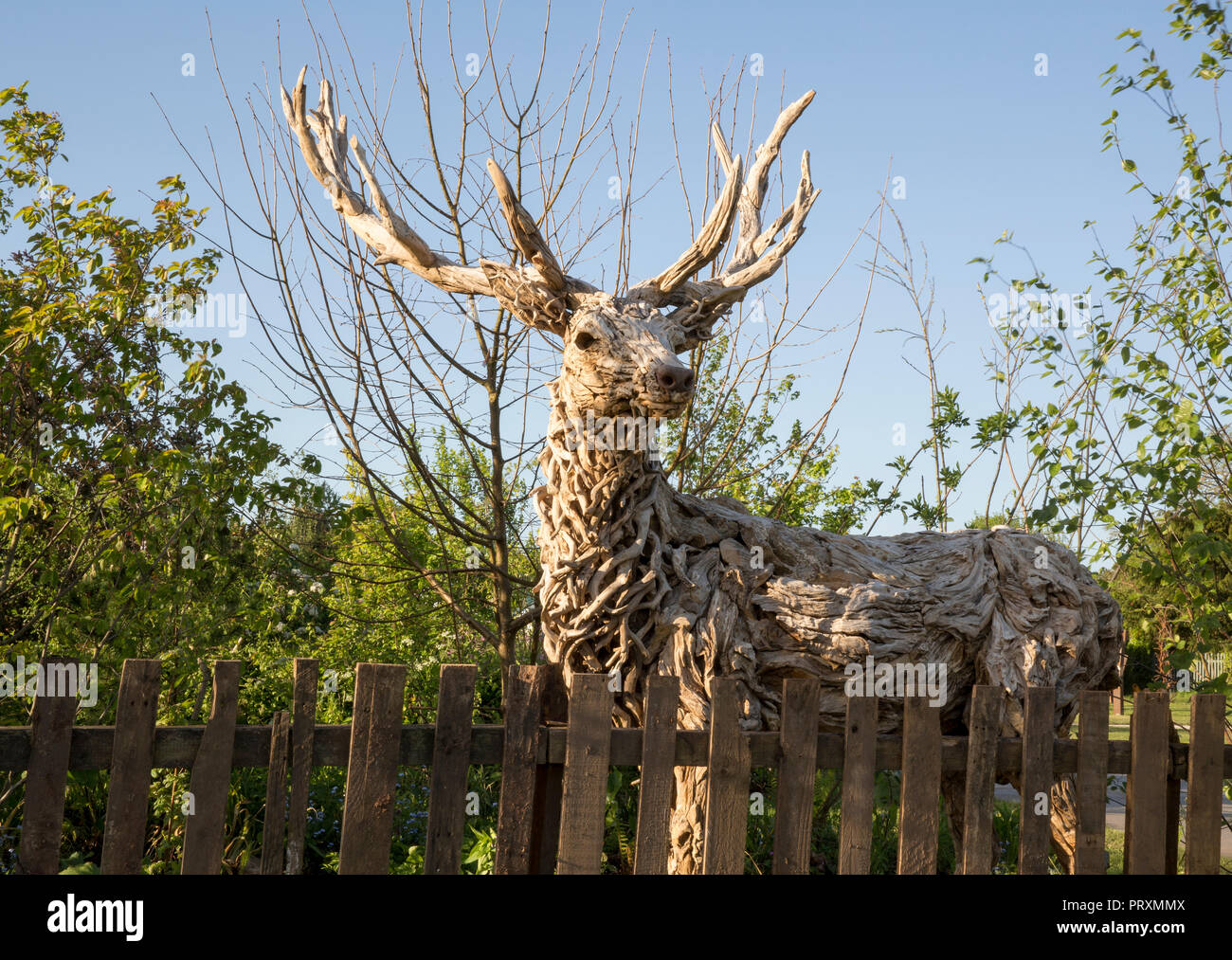 Driftwood Hirsch Skulptur von James Doran-Webb, alte hölzerne Lattenzaun aus über den Zaun, garten, RHS Malvern Spring Festival 2018 Stockfoto