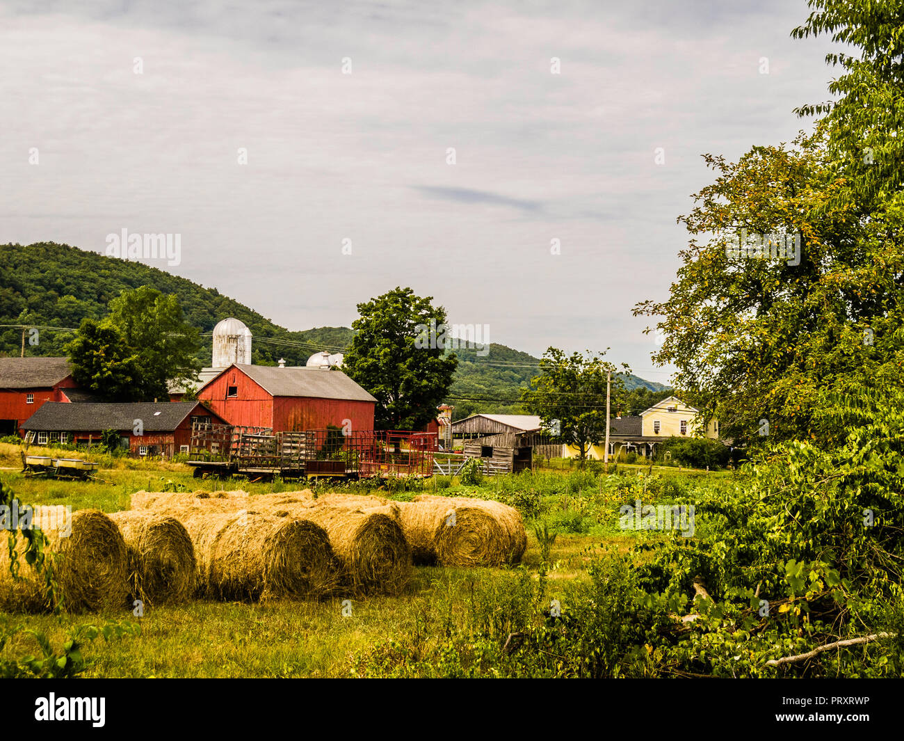 Heu Brötchen Tulmeadow Farm Simsbury, Connecticut, USA Stockfoto