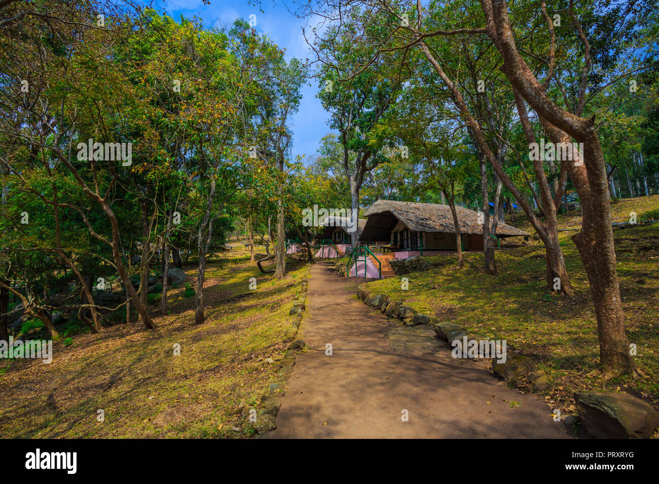 Dschungel-lodges Resort-BR Hügel (Karnataka, Indien) Stockfoto