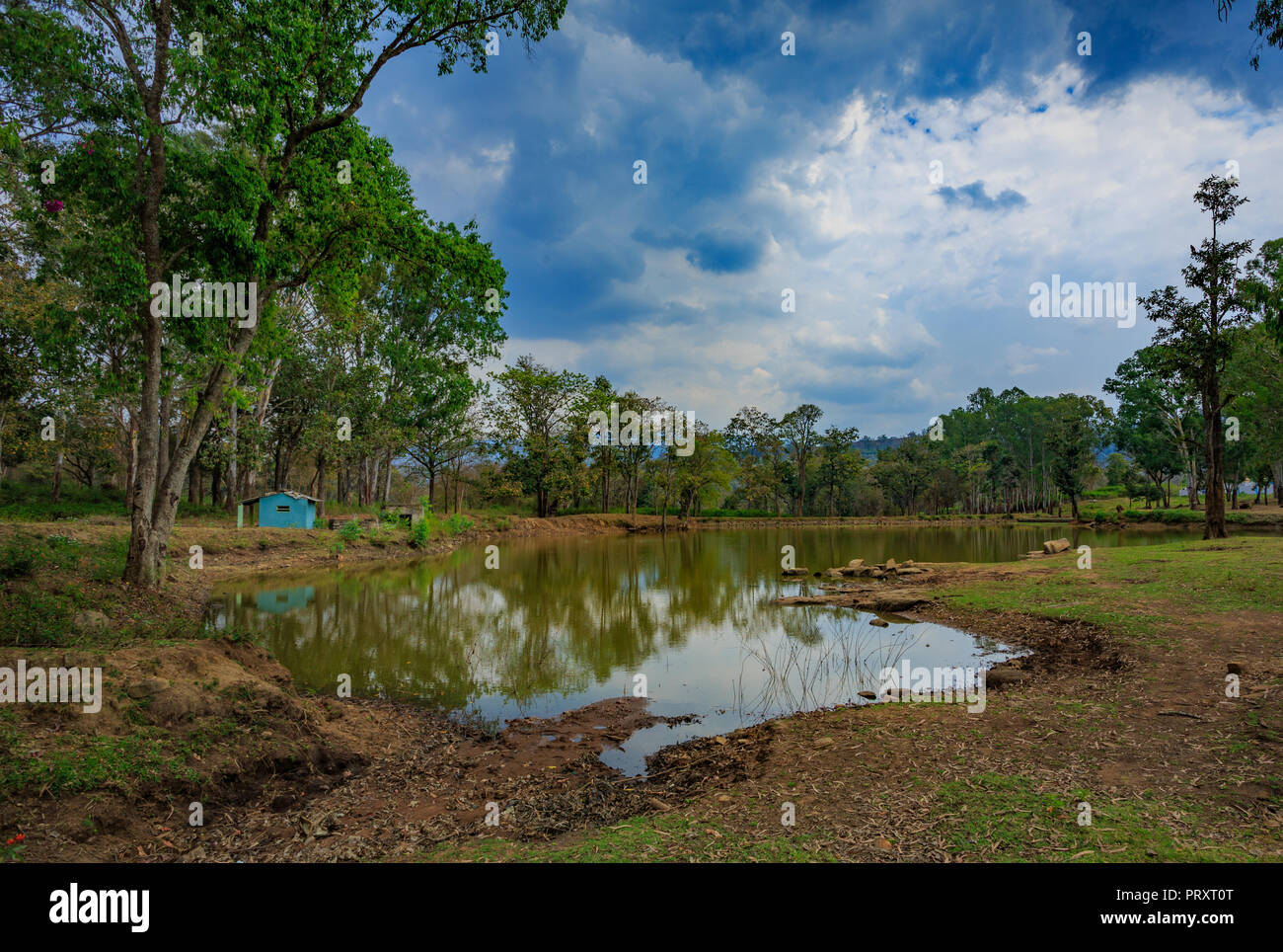Ein Teich in der Nähe des Campus der Dschungel Lodges Resort-BR Hügel (Karnataka, Indien) Stockfoto