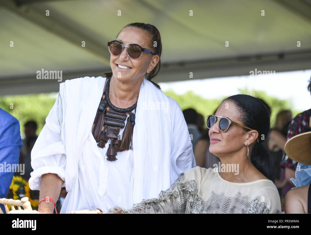 Celebs nehmen an der Hampton Classic Pferdeshow in Bridgehampton Mit: Donna Karan Wo: Bridgehampton, New York, United States Wenn: 02 Sep 2018: Rob Rich/WENN.com Stockfoto