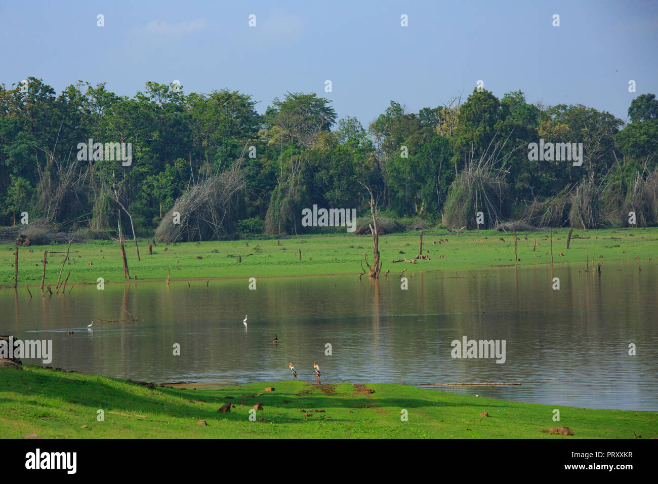 Kabini Rückstau - Karnataka, Indien Stockfoto