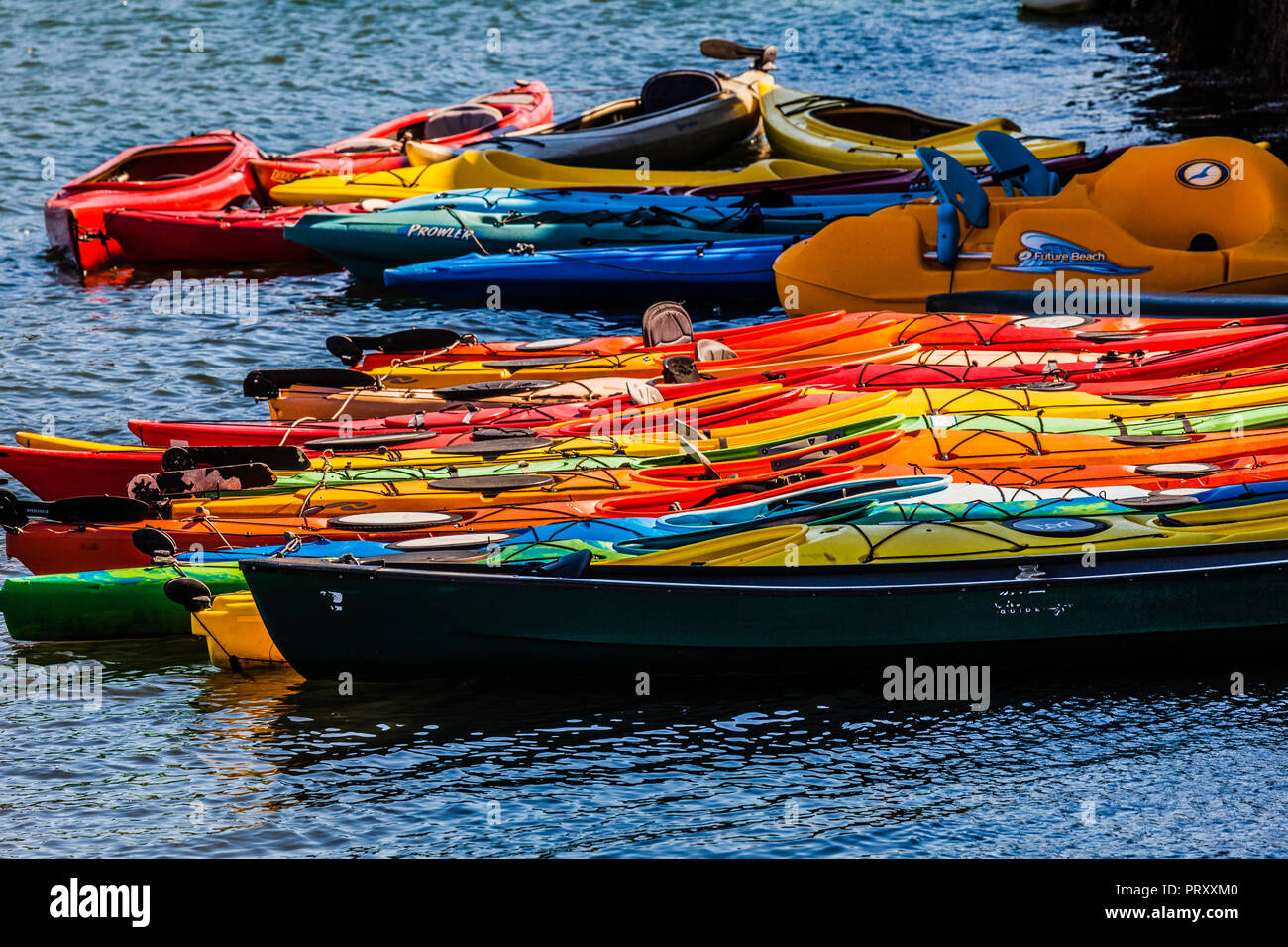 Sea Kayaks Wakefield, Massachusetts, USA Stockfoto