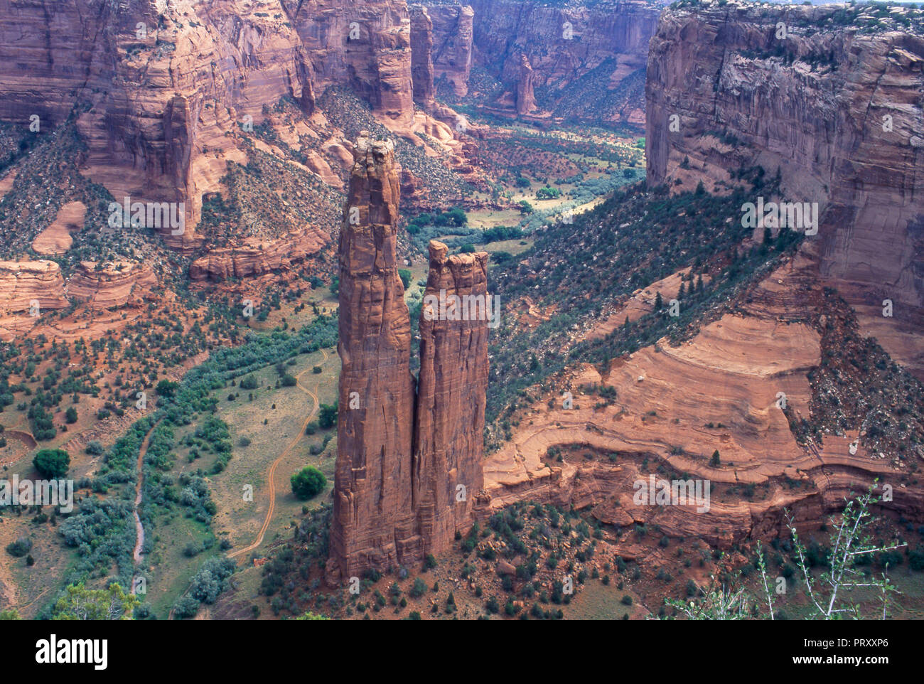 Spider Rock, Canyon de Chelly, Arizona, Heimat von Navajo Gottheit Na'ashje'ii Asdzau (Spinne Frau). Foto Stockfoto