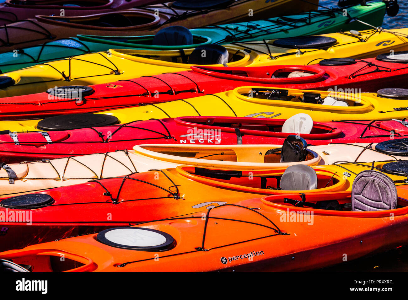 Sea Kayaks Wakefield, Massachusetts, USA Stockfoto