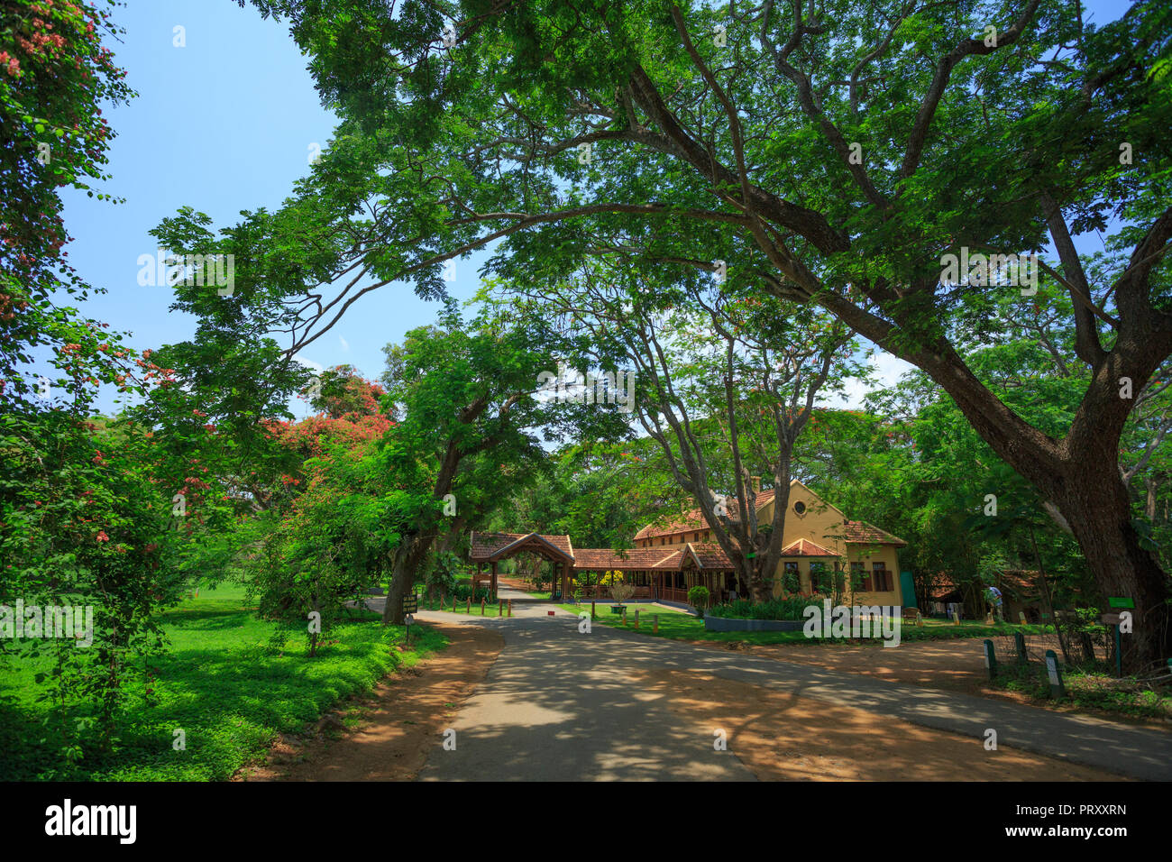 Kabini River Lodge (Dschungel Lodges) - Karnataka, Indien Stockfoto