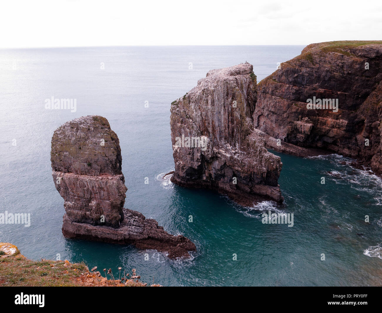 Stack Rocks, Pembrokeshire, September 2018 Stockfoto