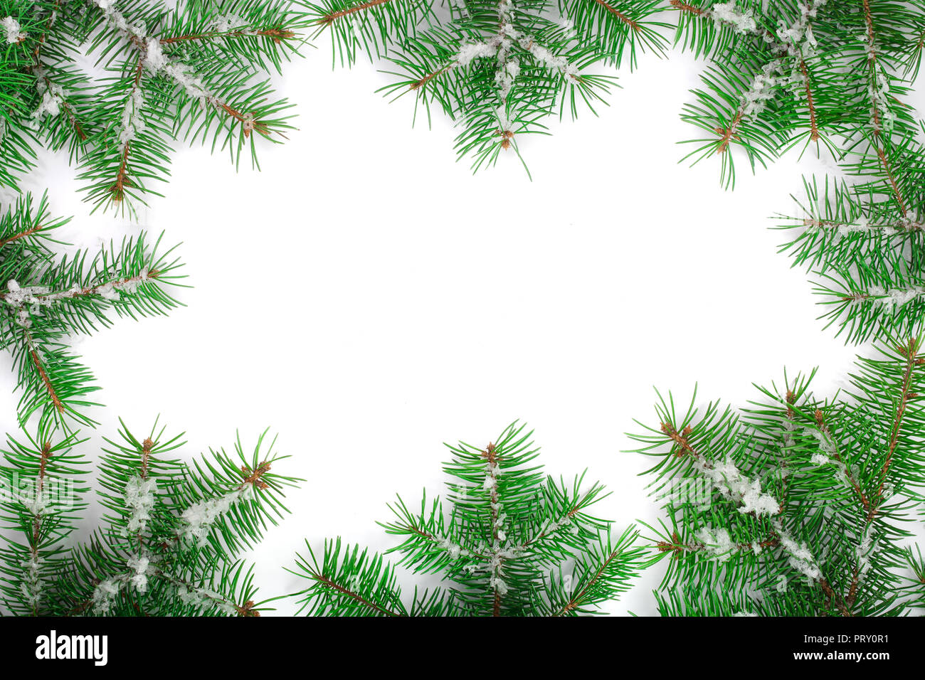 Weihnachten Rahmen der Fir Tree Branch mit Schnee auf weißem Hintergrund mit Kopie Platz für Ihren Text isoliert. Ansicht von oben. Stockfoto