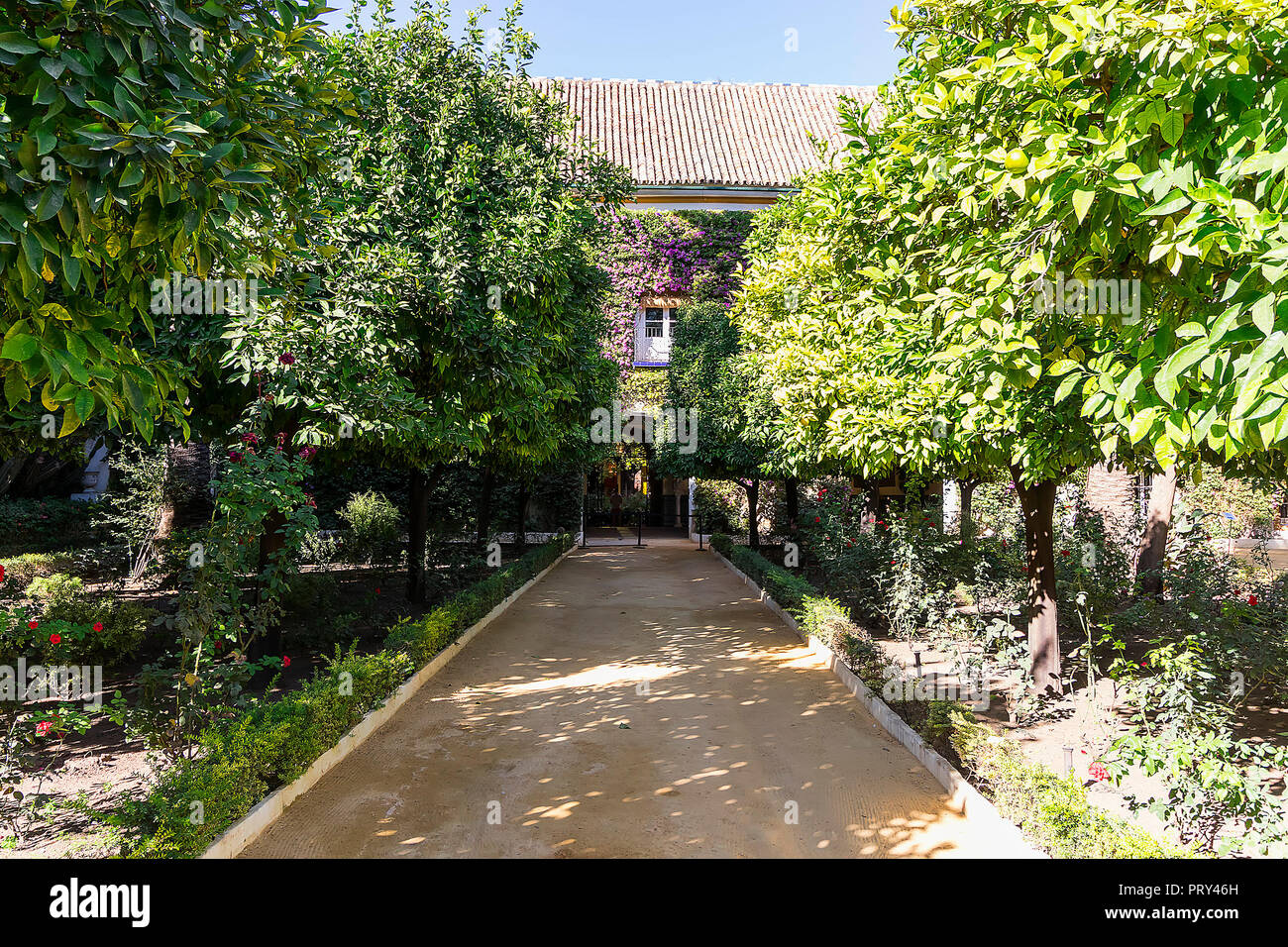 Sevilla, Spanien - 28. Oktober 2017: Gärten der Palast der Herzöge von Alba oder Palacio de las Duenas Stockfoto