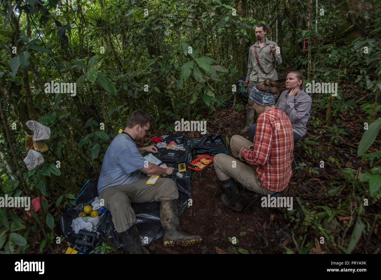 Eine Gruppe von Biologen eine Studie im Dschungel, sie haben eine remote Field Site, wo Sie von der Arbeit. Stockfoto
