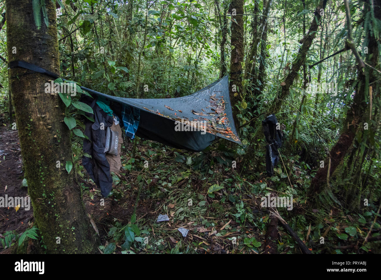 Meine hennessy Hängematte in der Mitte von Nirgendwo im abgelegenen Dschungel in Peru. Stockfoto