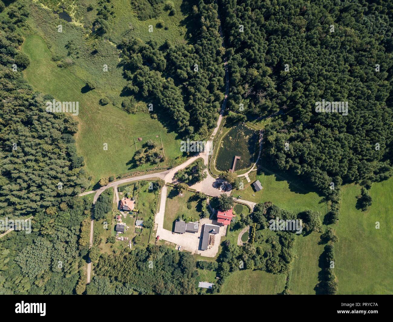 Wald und Gebäude von oben gesehen. Drone Landschaft mit europäischen Wald. Stockfoto