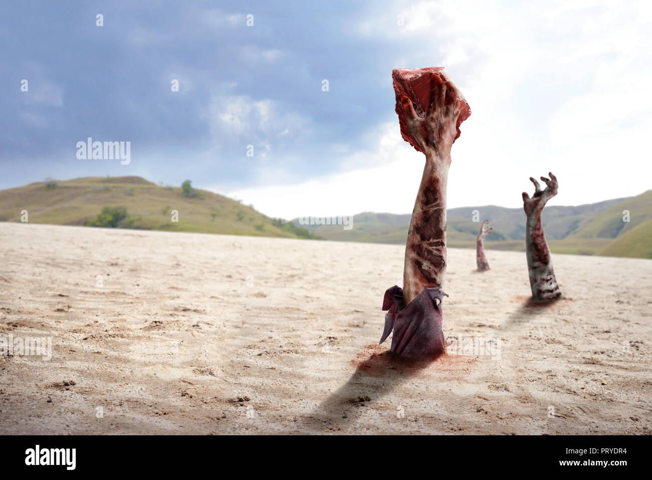 Die schmutzigen Hände von Zombies mit Krallen aus dem Boden am Tag Stockfoto
