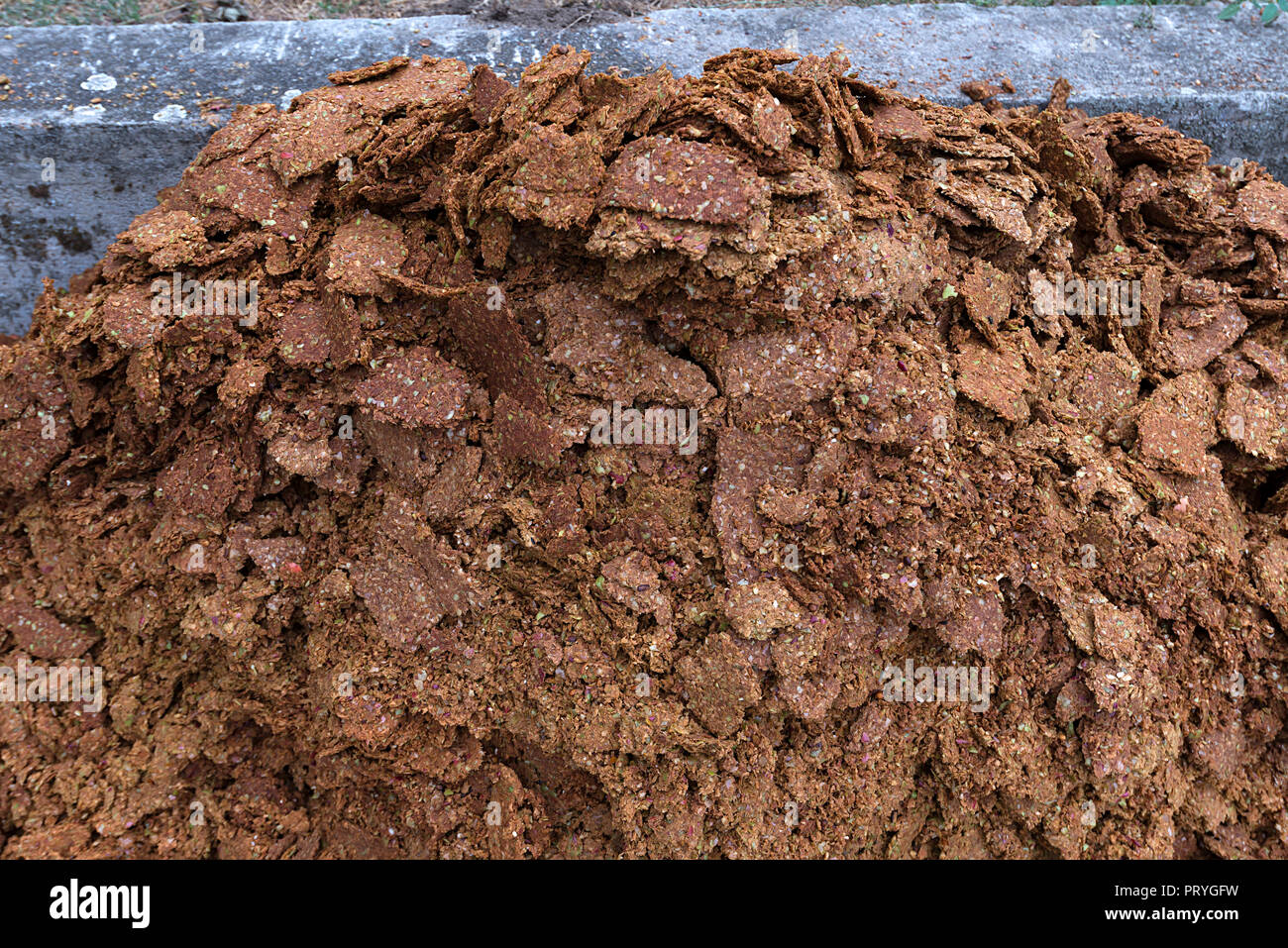 Trester, feste Rückstände nach Drücken von Fruchtsaft, müssen Fabrik, Franken, Bayern, Deutschland Stockfoto