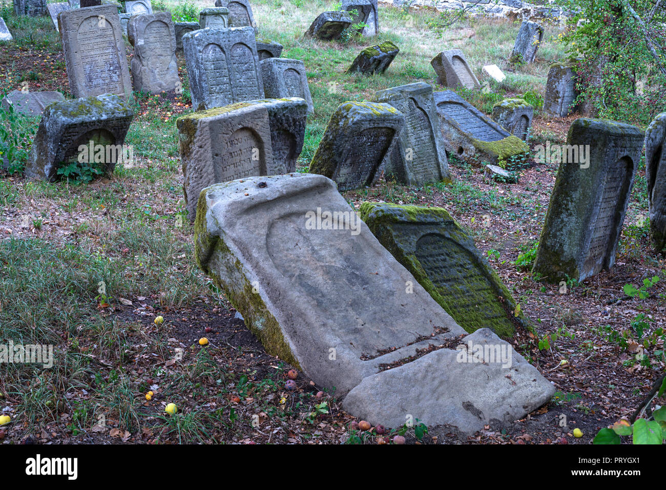 Grabsteine auf einem jüdischen Friedhof, seit dem 17. Jahrhundert, Schnaittach, Mittelfranken, Bayern, Deutschland Stockfoto