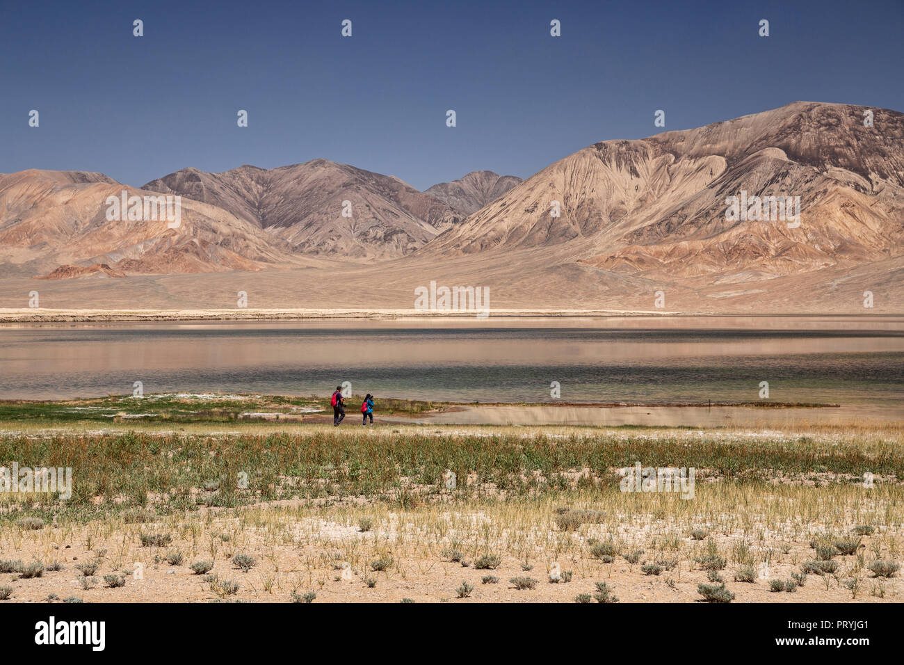 Trekker bei Shorkul Rangul und Seen aus dem entfernten Pamir Highway, Gorno-Badakhshan Autonome Region, Tadschikistan. Stockfoto