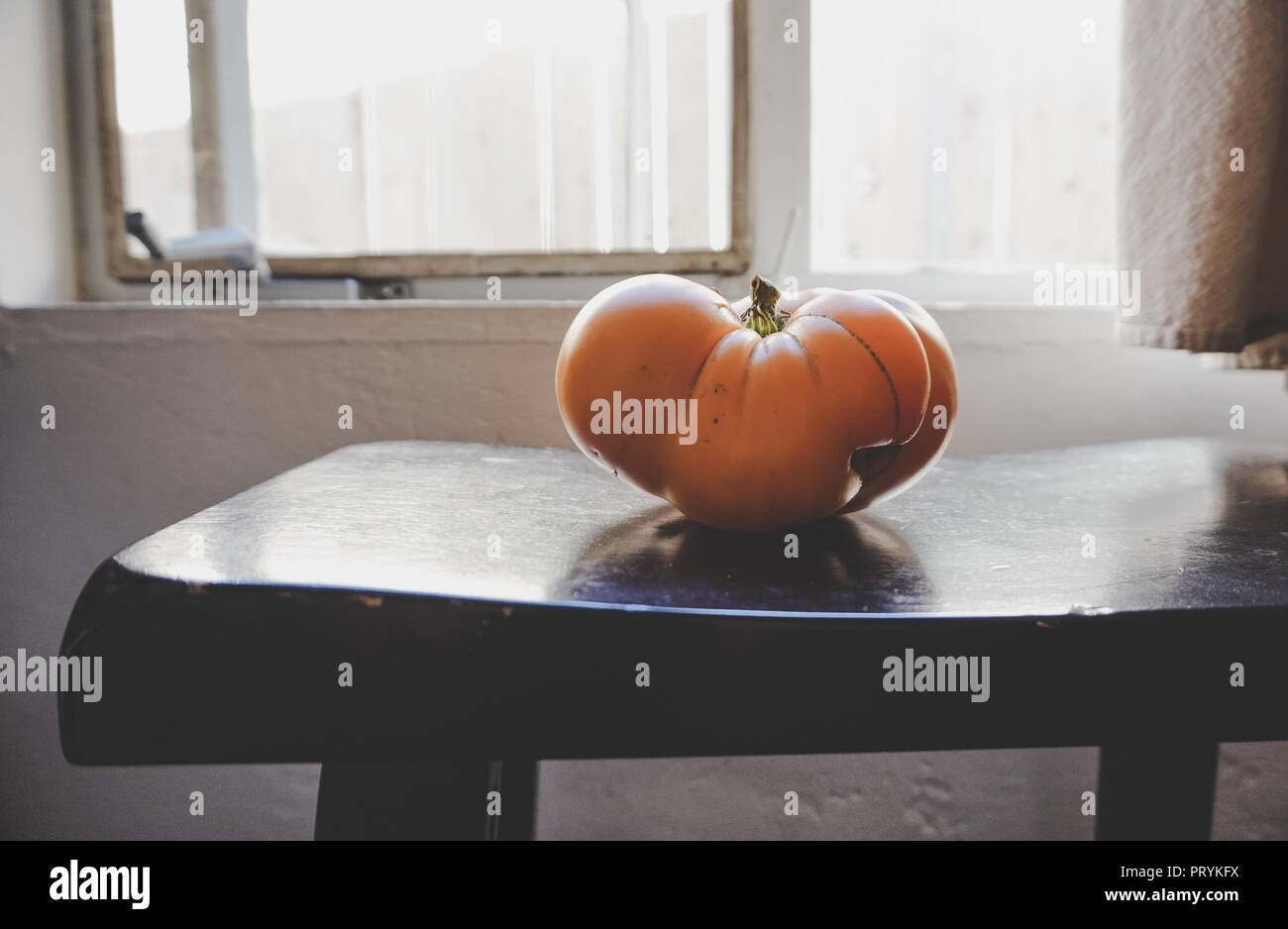 Gelbe heirloom Tomaten auf schwarz Barhocker vor der alten Fenster und weiße Wände Stockfoto