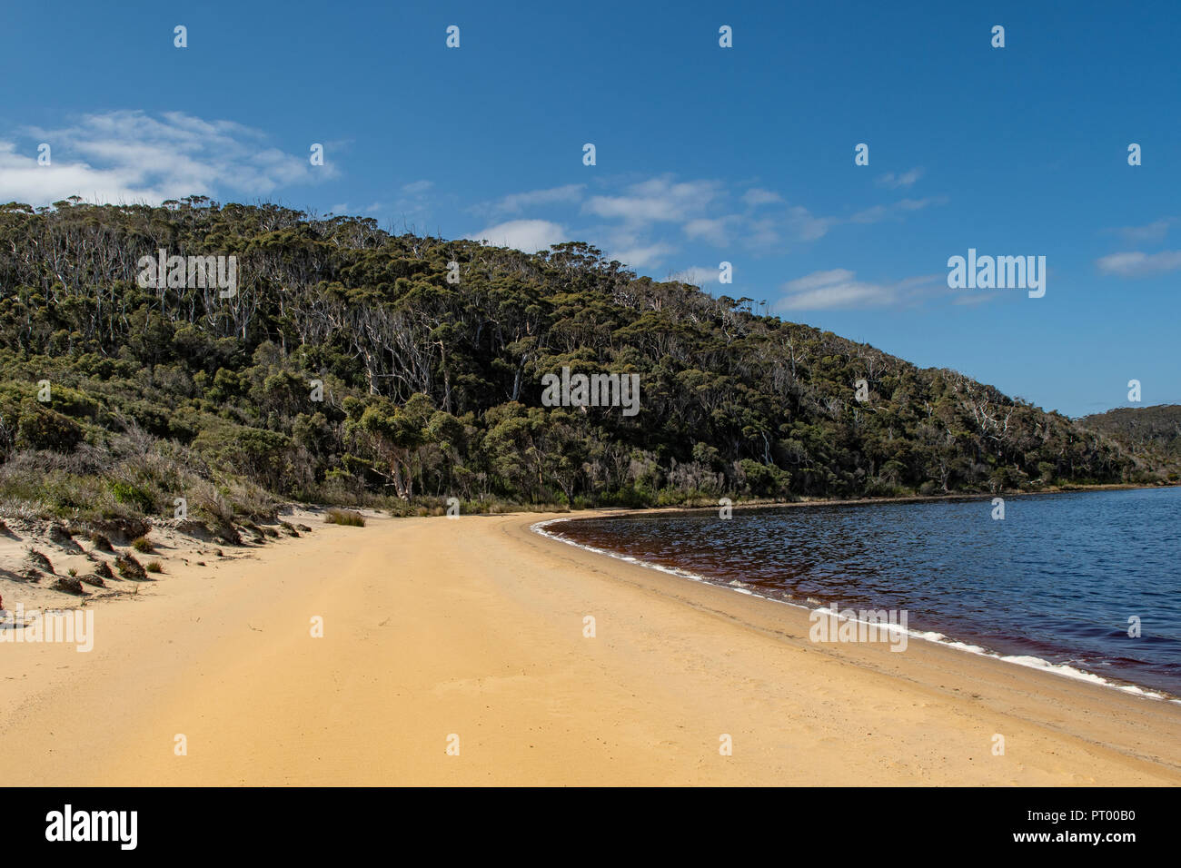 Sandstrand, Walpole, WA, Australien Stockfoto