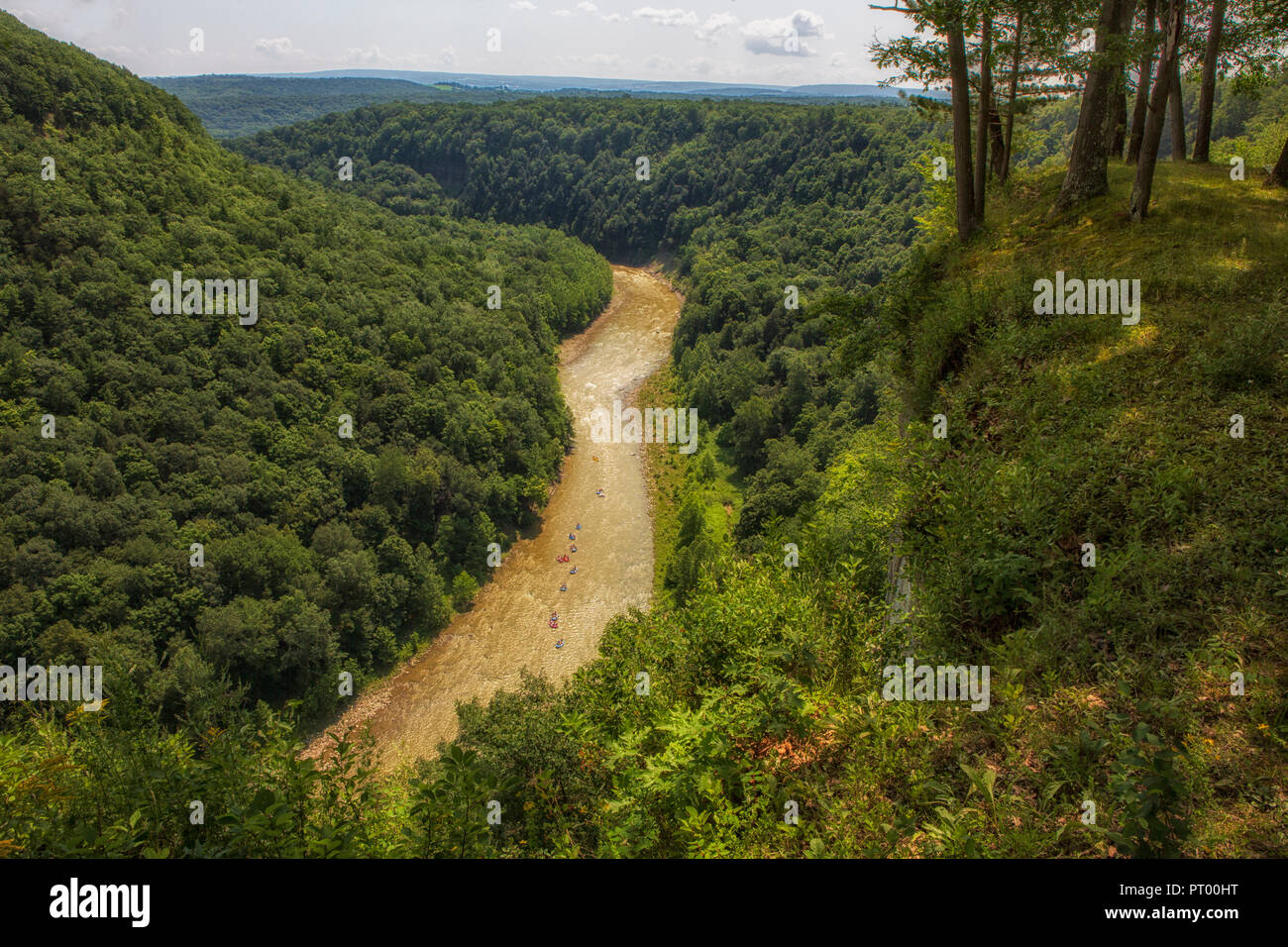 Letchworth State Park ist eine 14,427-Acre State Park in Livingston und Wyoming Grafschaften, New York und ist der Grand Canyon des Ostens betrachtet. Stockfoto