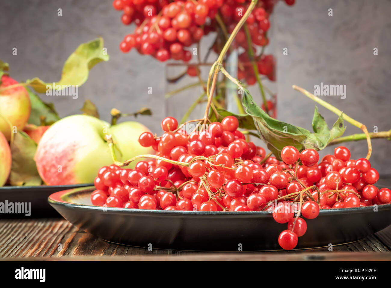 Noch immer leben Beeren eines Viburnum und Garten saisonal Äpfel in Platten auf hölzernen Tisch. Herbst Konzept Ernährung, Landwirtschaft, Ernte, Kochen Stockfoto