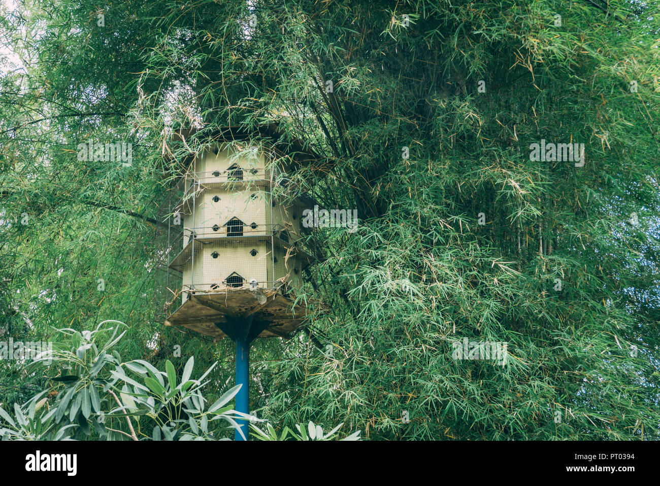 Künstliche Bird's Nest um Bambus Bäume Stockfoto