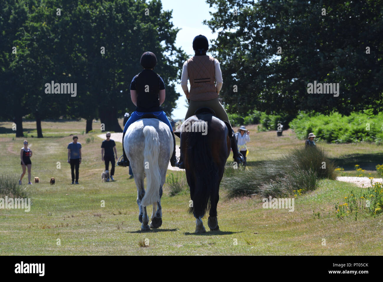 Sonntag, den 2. Juli 2017 Richmond Park, London, UK. Zwei Pferd Reiter im Richmond Park und andere Menschen zu Fuß in sonniger Sommertag. Stockfoto