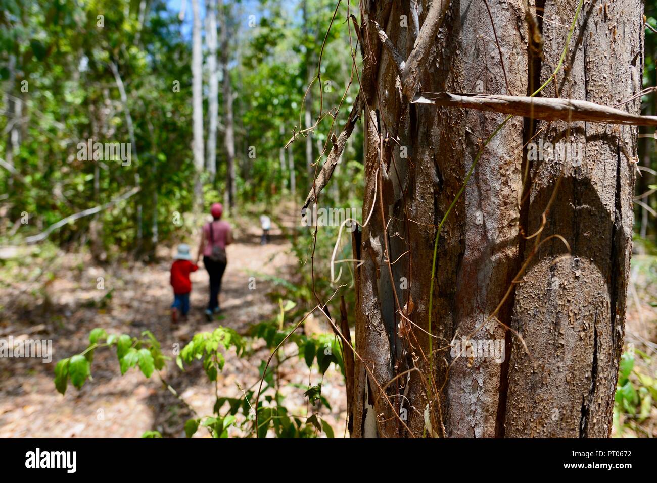 Mutter und Töchter Spaziergang entlang der Dalrymple Lücke Walking Track, QLD, Australien Stockfoto