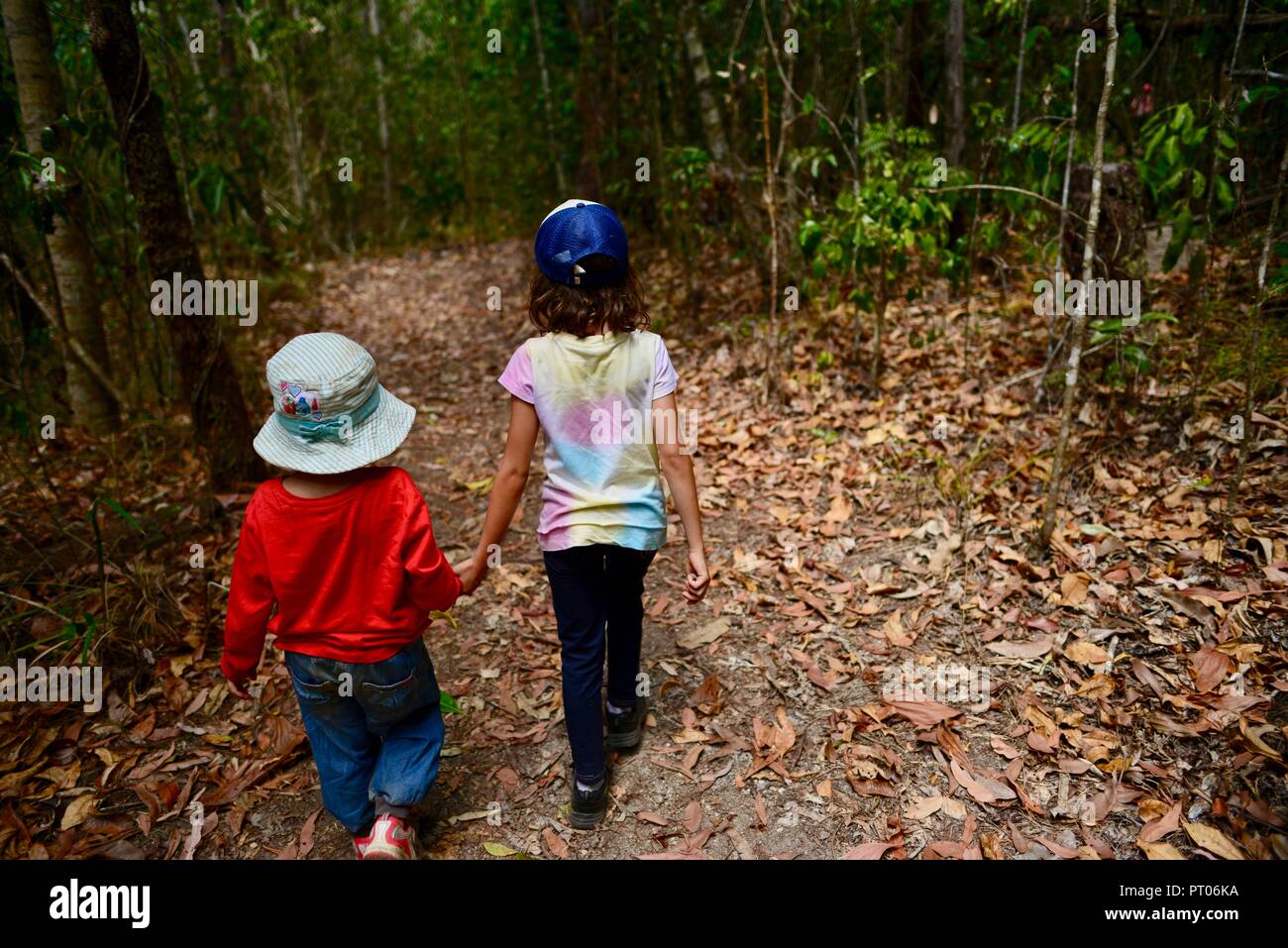 Zwei Kinder gehen durch wie Wald, Hände halten, Dalrymple Lücke, QLD, Australien Stockfoto