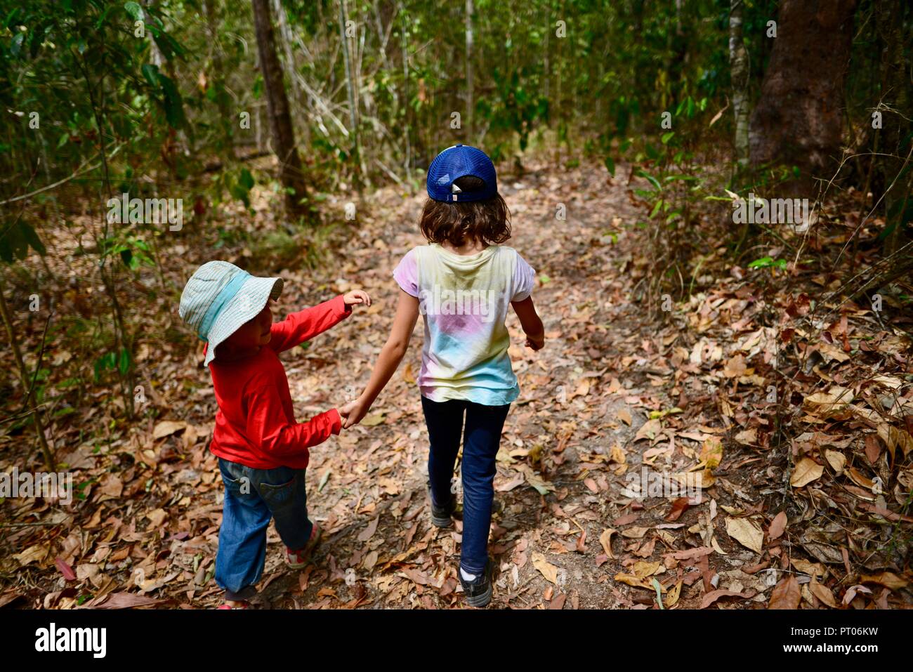 Zwei Kinder gehen durch wie Wald, Hände halten, Dalrymple Lücke, QLD, Australien Stockfoto